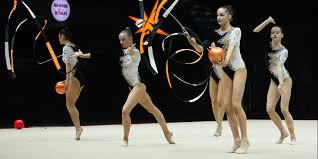 Image result for L&G Acrobatic Gymnastics Club