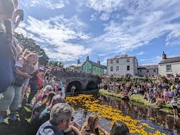 Image result for Rostrevor Hurling Club