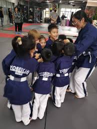 Image result for Yoseikan Budo England