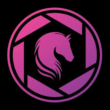 Image result for White Rose Polo Club