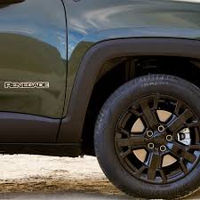 Image result for Teesside Renegades