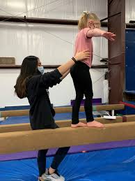 Image result for Angmering Gymnastics