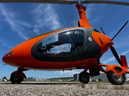 Image result for gepetto tehron