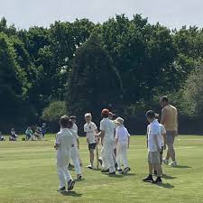 Image result for Bolney Cricket Club