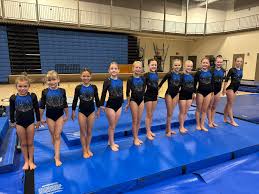 Image result for St Bedes Gymnastics Club