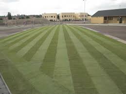 Image result for Belvedere Bowling Club