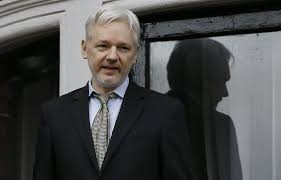 Image result for assange
