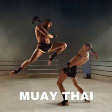 Image result for middlesbrough karate academy