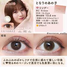 「ネオサイトワンデーシエル」の画像検索結果