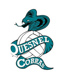 Image result for Chesterfield Cobras Volleyball Club