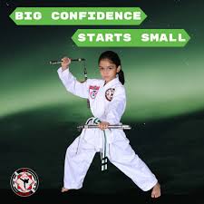 Image result for ATA Martial Arts Maple Ridge