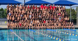 Image result for Cults Otters Amateur Swimming Club