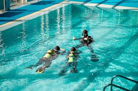 Image result for Scuba Skooling