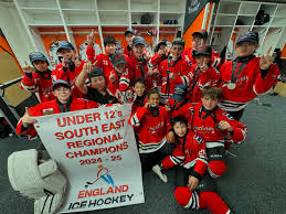 Image result for Streatham Youth Ice Hockey Club