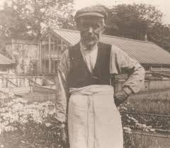 Image result for Dundee Draughts Club