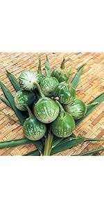 Afbeeldingsresultaat voor bianca a uovo eggplant