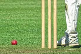 Image result for Swaffham Cricket Club