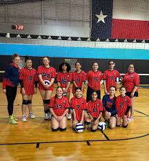 Image result for Aberlady Bays Volleyball Club