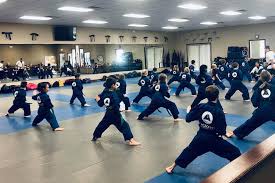 Image result for COURT FIELDS karate Academy