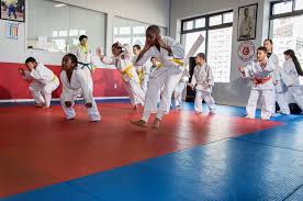 Image result for Okami Karate & Fitness Schools