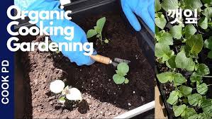 Image result for 깱깲깳깴깵깶깷깺깾깿꺀꺁꺂꺃꺆꺇꺈꺉꺊꺋꺍꺎꺏꺐