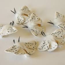 Attēlu rezultāti vaicājumam “Spilosoma lubricipeda”