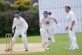 Image result for Yelverton Bohemians Cricket Club