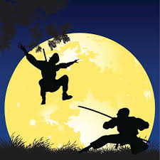 Image result for Ryuko Dojo