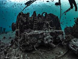 Image result for British Sub-Aqua Teesside 43 Branch