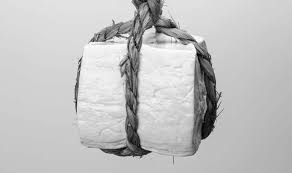 「川北信代」の画像検索結果