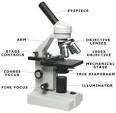 Compound microscope basics