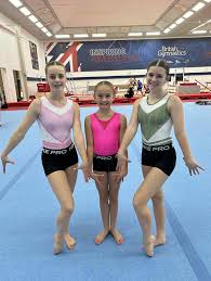 Image result for Wade Gymnastics Club