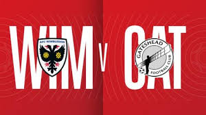 Image result for Gateshead Netball Club