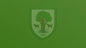 Image result for WOODRUSH RFC MINI and JUNIOR ~ & Senior