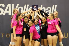 Image result for Tendring Volleyball Club
