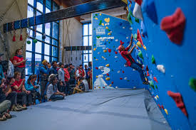Image result for High Sports Climbing Wall