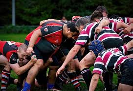 Image result for Croydon Rugby Football Club