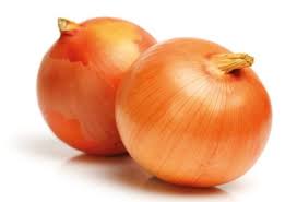 Image result for Zwiebeln