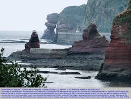 Image result for Dawlish Sc