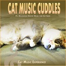 Image result for Cat sleeping in guitar