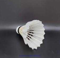 Image result for Apollo Badminton Club