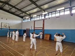 Image result for Plymouth Karate Club Kyokai