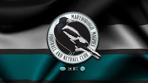 Image result for pulborough netball club