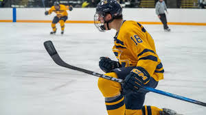 Image result for Uwe Hockey Club