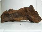 Drift Wood 7 - 10"
