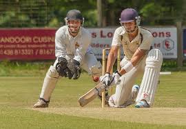 Image result for Abbots Langley Cricket Club