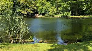 Image result for Metheringham Bowls Club