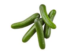 Image result for Gurke