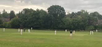 Image result for Boyne Hill Cricket Club