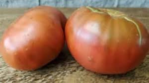 Afbeeldingsresultaat voor dark purple beefsteak tomato